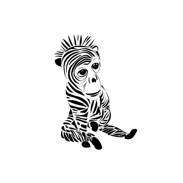 Een Kleine Grappige Aap Met Kleur Van Een Zebra — Stockfoto
