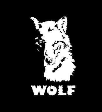 Siyah arka planda bir kurt