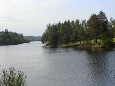 Orman ve alan arasında akan nehir