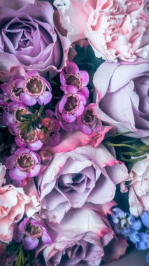 Mor ve pembe güllere yakın.