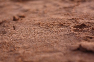 Sahildeki kum dokusu.