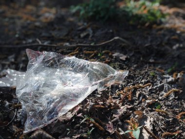 Ormanda polietilen çanta kirliliği