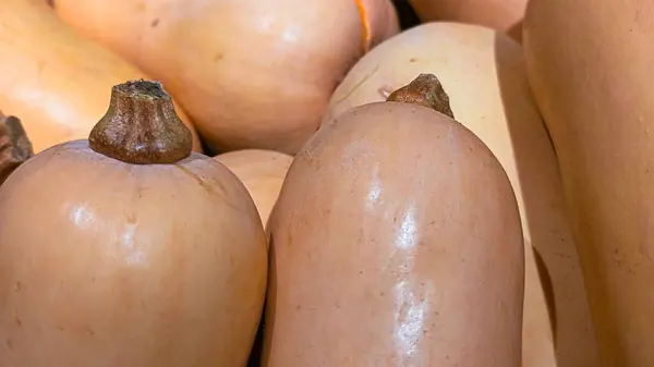 Pazarda taze tereyağlı kabak yakın plan.