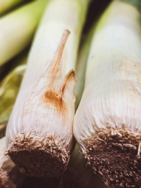 Taze pırasa saplarının dikey fotoğrafı