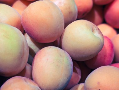 Taze koparılmış kırmızı kayısılar.