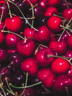 Dikey bir makro karede sapları olan taze kırmızı kirazlar.