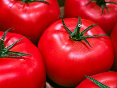 Yeşil saplı taze kırmızı domatesler.