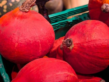 Canlı kırmızı hokkaido balkabaklarının sandık içinde yakın plan çekimi.