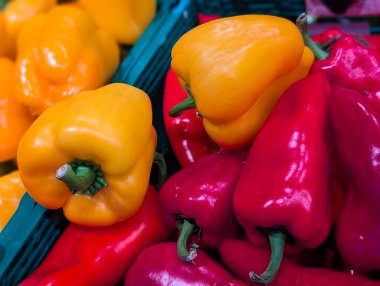 canlı kırmızı ve sarı dolma biberler markette yakın plan