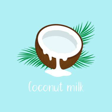 Hindistancevizi sütü akan kahverengi hindistan cevizinin yarısı. Vektör illüstrasyonu