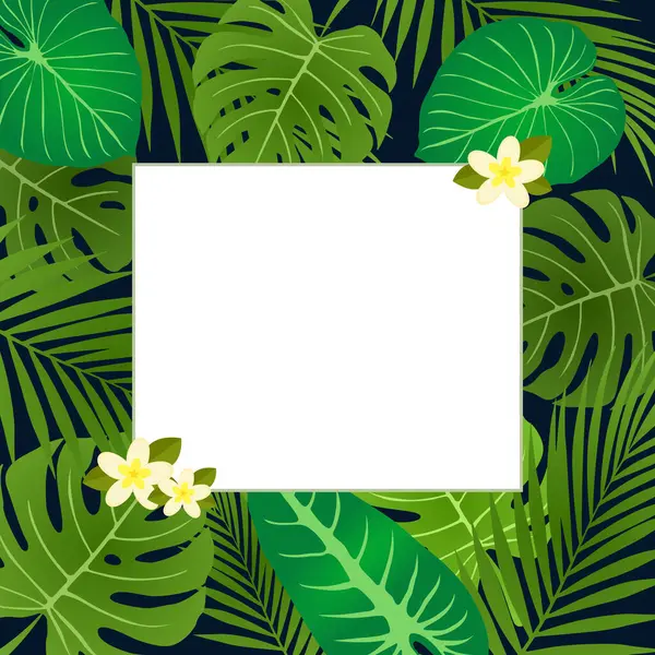 Siyah arka planda yeşil tropikal yapraklar ve beyaz çerçeveli bir afiş. Kozmetik, spa, parfüm, güzellik salonu, seyahat acentesi, çiçekçi için egzotik botanik tasarımı. Vektör illüstrasyonu