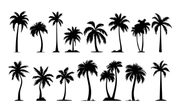 Palmiers Ensemble Isolé Sur Fond Blanc Silhouettes Palmiers Tropicaux Vectoriels — Image vectorielle