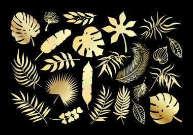 Vektör Altın Palmiye yaprağı simgeleri ayarlandı. Altın tropikal bitkiler siluet egzotik koleksiyonu bırakır. Canavar, fan palmiyesi, muz, okaliptüs, hindistan cevizi palmiyesi yaprakları siyah arka planda izole edilmiş şekiller..