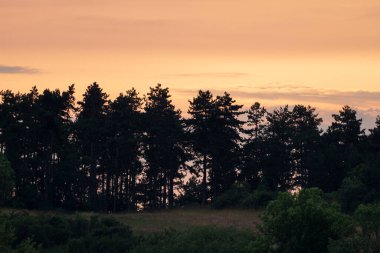 Sonbahar giysisiyle manzara