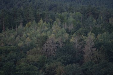 Sonbahar giysisiyle manzara