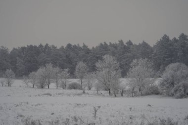 Karlı kış manzarası