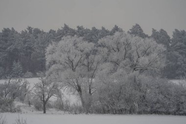 Karlı kış manzarası