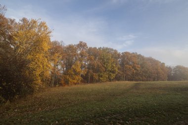 Sonbahar giysisiyle manzara