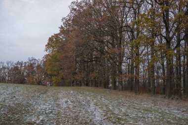 Sonbahar giysisiyle manzara