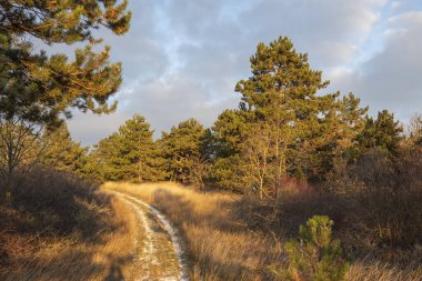 Sonbahar giysisiyle manzara