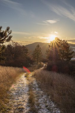 Sonbahar giysisiyle manzara