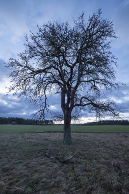 Sonbahar giysisiyle manzara