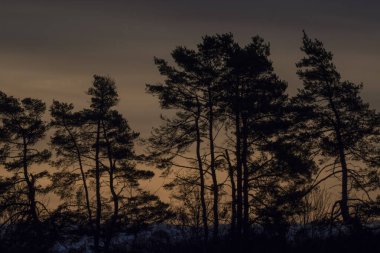 Sonbahar giysisiyle manzara