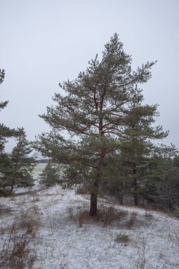 Karlı kış manzarası