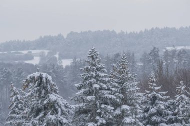 Karlı kış manzarası