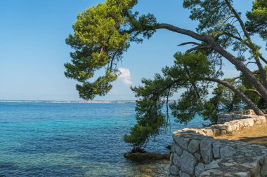  Hırvatistan 'ın Ugljan adası yakınlarındaki Dalmaçya bölgesinde turkuaz deniz manzarası