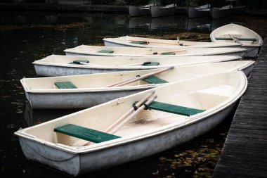 Noel için Viyana yakınlarındaki Baden 'deki parkta. Avusturya