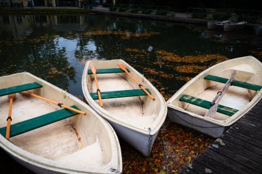 Noel için Viyana yakınlarındaki Baden 'deki parkta. Avusturya