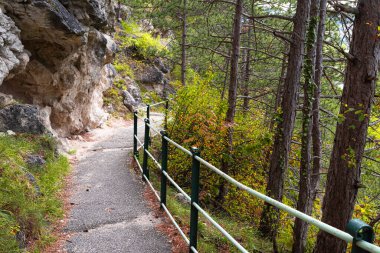 Noel için Viyana yakınlarındaki Baden 'deki parkta. Avusturya
