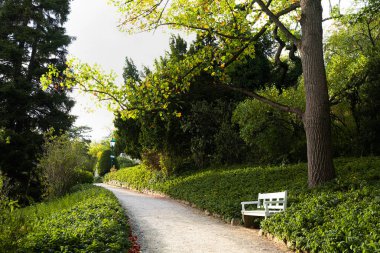 Viyana yakınlarındaki Baden 'deki Kurpark' ta sonbahar için. Avusturya