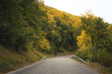 Viyana yolu Avusturya 'nın Viyana kentinde sonbahar aylarında kuru yapraklarla doldu.