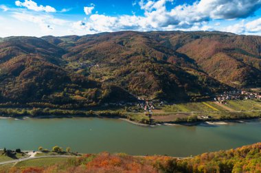 Wachau Vadisi ve Tuna Nehri, sonbaharda Avusturya, güneşli bir günde renkli yapraklar ve üzüm bağları
