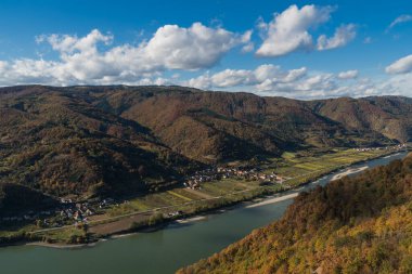 Wachau Vadisi ve Tuna Nehri, sonbaharda Avusturya, güneşli bir günde renkli yapraklar ve üzüm bağları
