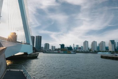 Erasmus Köprüsü ve Rotterdam, Hollanda manzarası