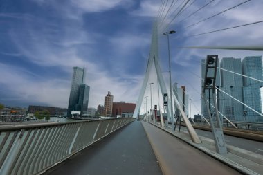 Erasmus Köprüsü ve Rotterdam, Hollanda manzarası