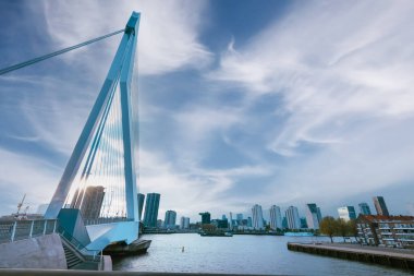 Erasmus Köprüsü ve Rotterdam, Hollanda manzarası