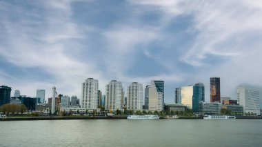 Erasmus Köprüsü ve Rotterdam Skyline, Hollanda