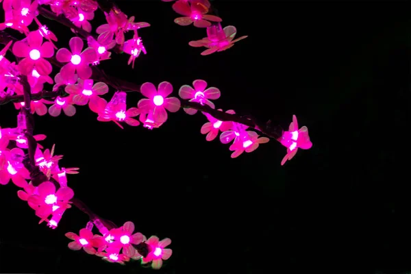 Pink Flowers Glow Night Modern Light Show — 스톡 사진
