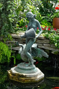 Fish pond with red fish in the garden, Toronto, ON, Canada