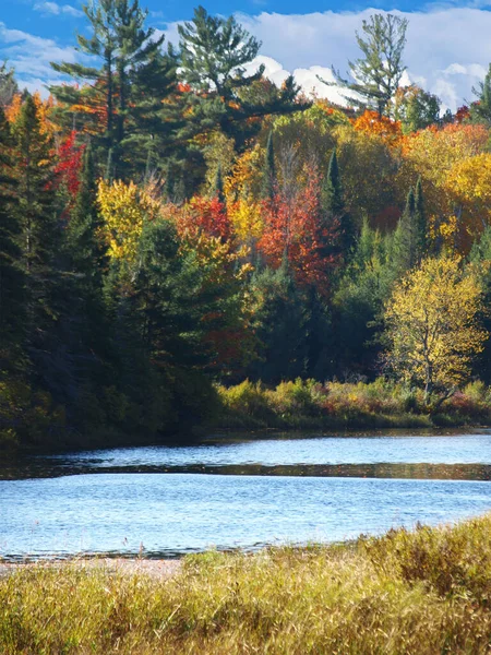 Tranquilo Fluye Río Rodeado Colorido Follaje Canadá — Foto de Stock