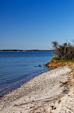 Sakin sular ve çakıl taşlarıyla sakin bir sahil - Assateague, MD, ABD