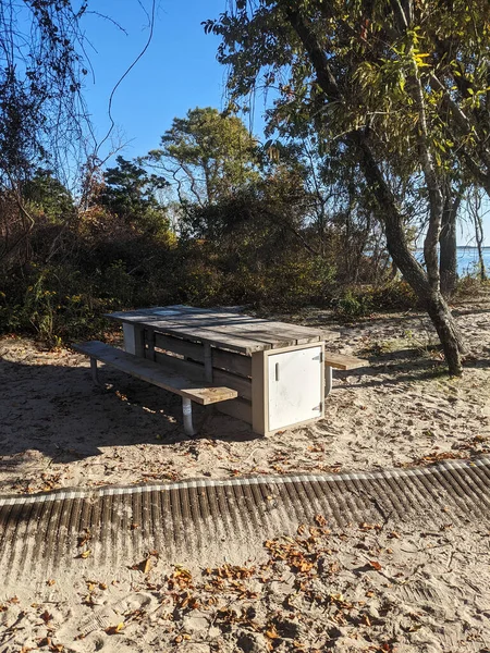 Picknickbänke Für Ein Entspanntes Essen Strand Assateague Usa Stockfoto