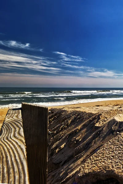 Μοτίβα Ξύλο Και Άμμο Είναι Πολύ Κοντά Στην Παραλία Assateague — Φωτογραφία Αρχείου