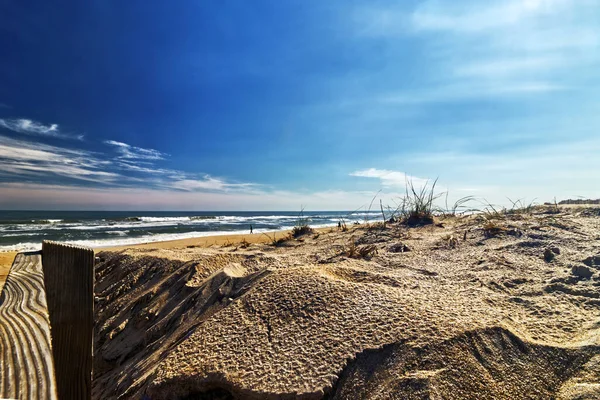 Післяобіднє Сонце Приносить Кожну Маленьку Розпушування Пісок Щоб Зосередитися Assateague — стокове фото