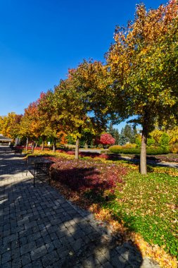 Havada renk var - parlak bir sonbahar öğleden sonra, Niagara Şelalesi, on, Kanada