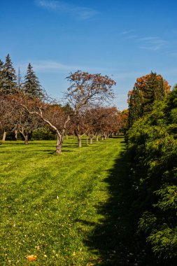 Botanik Bahçeleri Parkland, Niagara Şelalesi, On, Kanada